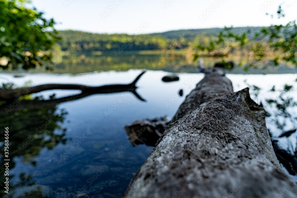 Baumstamm im Wasser in Natursee Baumstamm im Wasser in Natursee