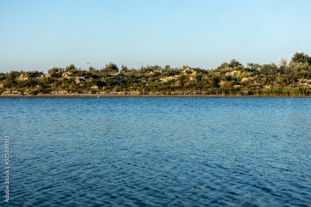 Fototapeta premium Beach of the blue sea with vegetation and sand, nature reserve