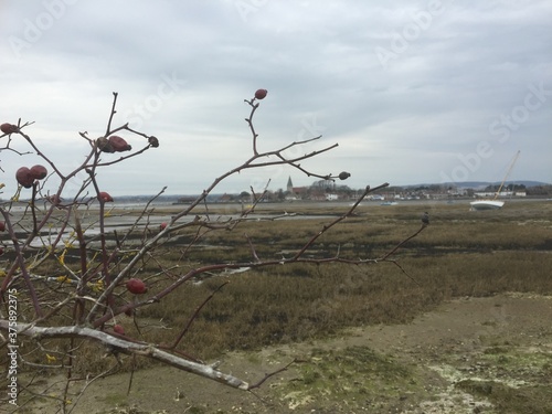 Coastal walk