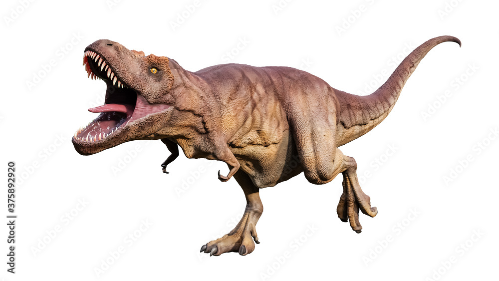 Agressive Tyrannosaurus Rex or T_Rex scientifc and realistic reconstitution isolated on a white background. 3D rendering illustration of the king of dinosaurs. Agressive Tyrannosaurus Rex or T_Rex scientifc and realistic reconstitution isolated on a white background. 3D rendering illustration of the king of dinosaurs.