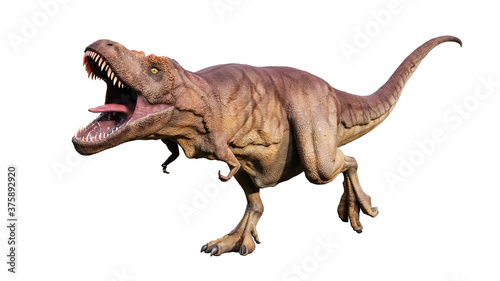Agressive Tyrannosaurus Rex or T_Rex scientifc and realistic reconstitution isolated on a white background. 3D rendering illustration of the king of dinosaurs. photo