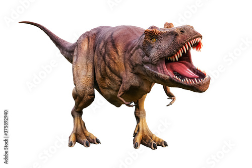 Tyrannosaurus Rex or T_Rex scientifc and realistic reconstitution isolated on a white background. 3D rendering illustration of the king of dinosaurs.