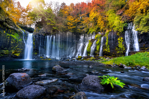 Shiraito waterfall in autumn, Japan. photo