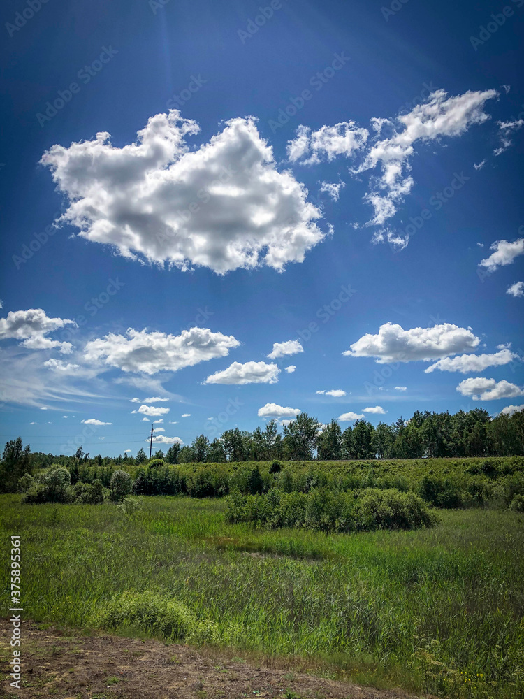 Summer landscape with green grass and beautiful clouds. Summer landscape with green grass and beautiful clouds.