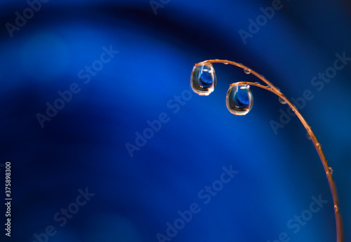 water drops on a blue background © Robert