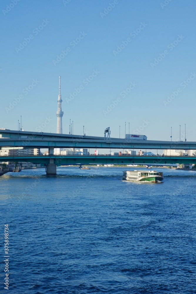 隅田川の風景　隅田川大橋を潜る
遊覧船