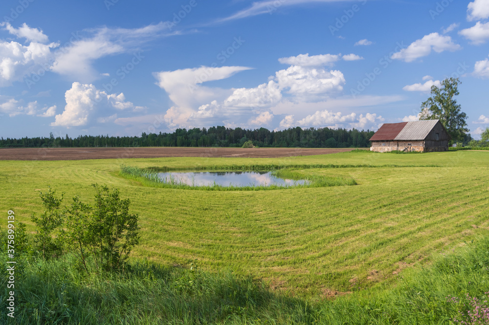 Rural landscape with green and brown fields, blue pond in the middle and beautiful white clouds in the sky. Old countryside house on the right side. Forest on the horizon in the background
