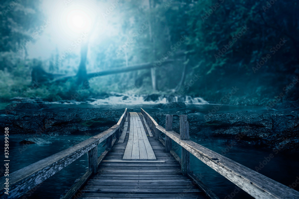 Obraz premium bridge in the forest