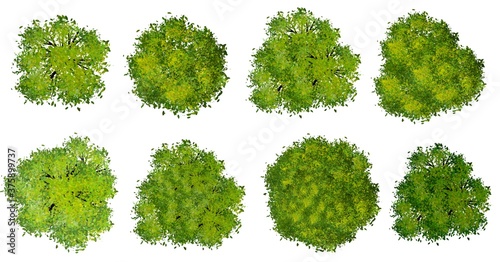 set of green leaves, Set of watercolor tree top view for landscape plan and architecture layout