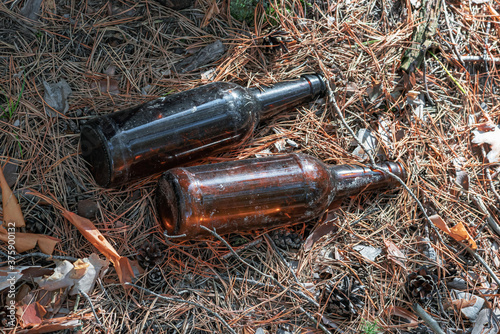 Discarded glass bottles on the forest floor