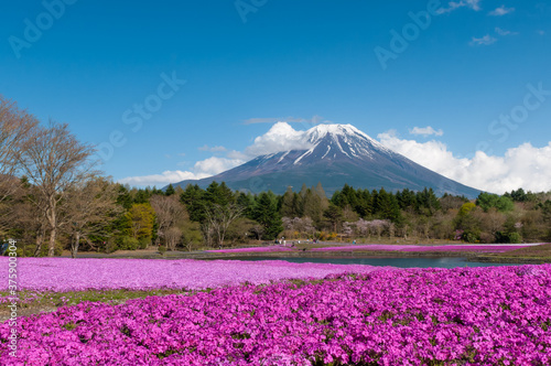  sacred Mount Fuji. © Masayoshi Hirose