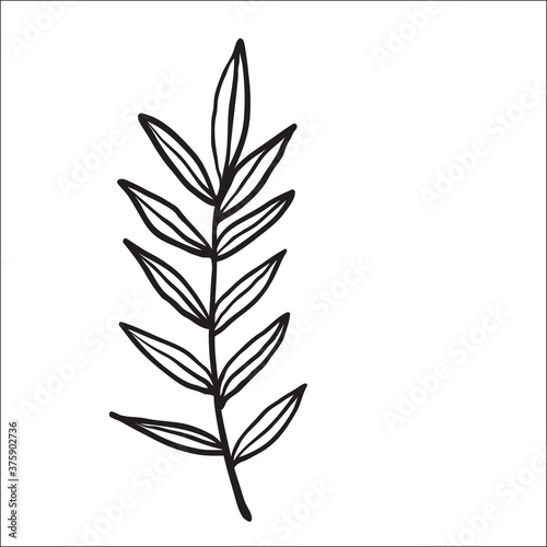 Black and white sketch plant line on white background. Vector illustration.