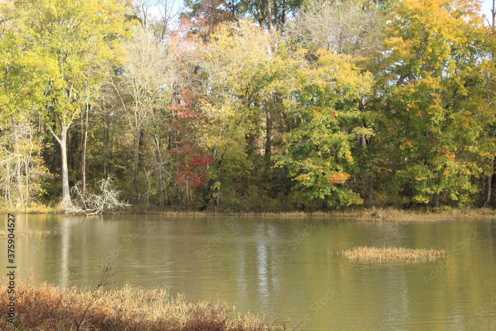 Fototapeta premium autumn landscape with trees and water
