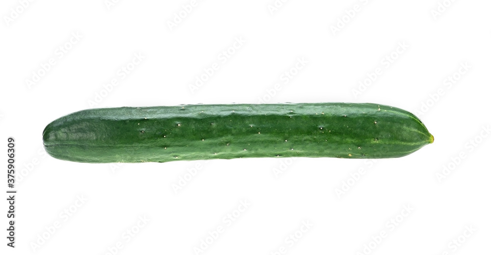 Fresh cucumber isolated on white background Fresh cucumber isolated on white background