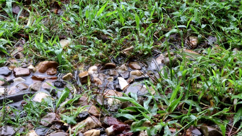 A gentle rain waters the grass and splashes over rocks A gentle rain waters the grass and splashes over rocks
