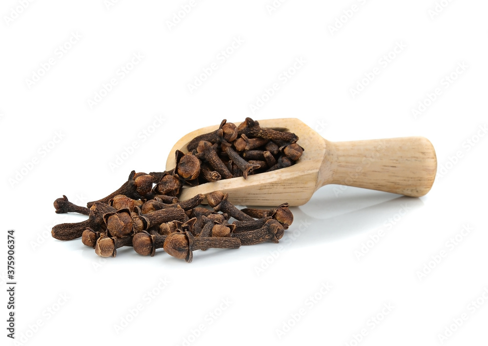 Fototapeta premium Spice cloves isolated on white background