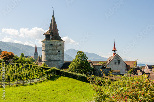 Stadt Zug, Stadt, Zug, Kapuzinerturm, St. Michael, Kirche, Guggi, Rosengarten, Weinberg, Altstadt, Stadt, Altstadthäuser, Zugersee, Sommer, Berge, Rigi, Schweiz photo