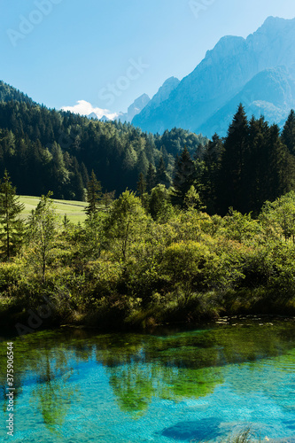 Zelenci Nature Reserve