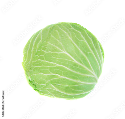 cabbage top view isolated on white background