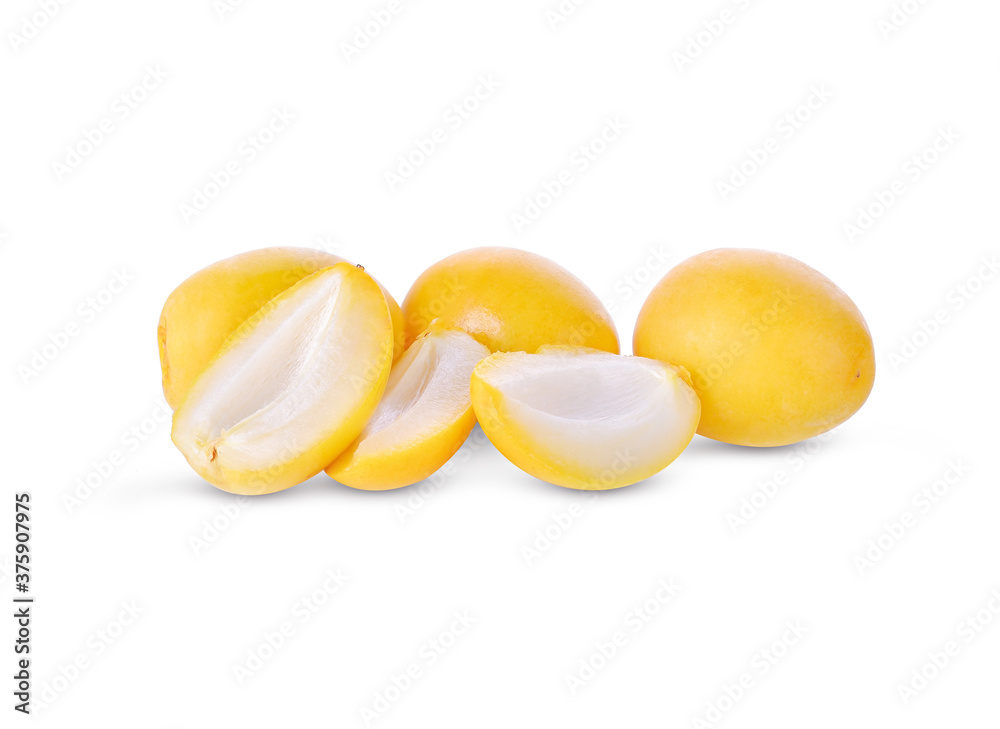 Phoenix dactylifera on a white background Phoenix dactylifera on a white background