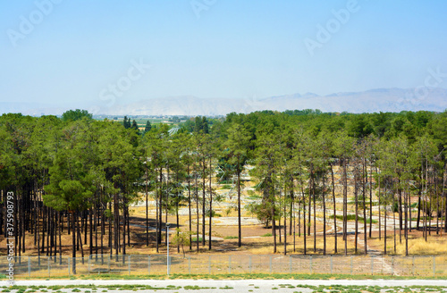 Park next to Persepolis to the west, with visible remains of the installations erected for the 1971 celebrations  for the 2500 years' anniversary of the founding of the Imperial State of Iran. photo