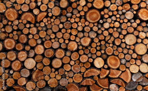 Stack of piled up fire wood.