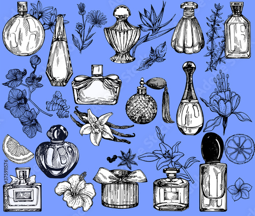 Set of hand drawn sketch style bottles of perfume and plants isolated on blue background. Vector illustration.
