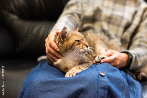 woman hold his cat on his thighs photo