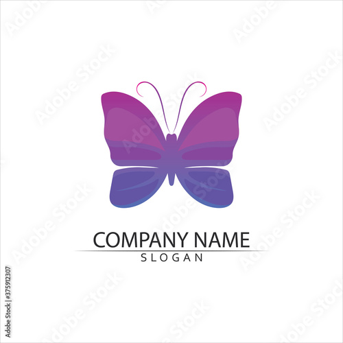 Beauty Butterfly icon design animal vector logo