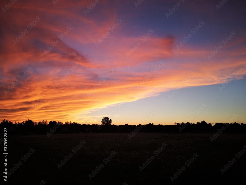 Obraz premium Sunset Rouge