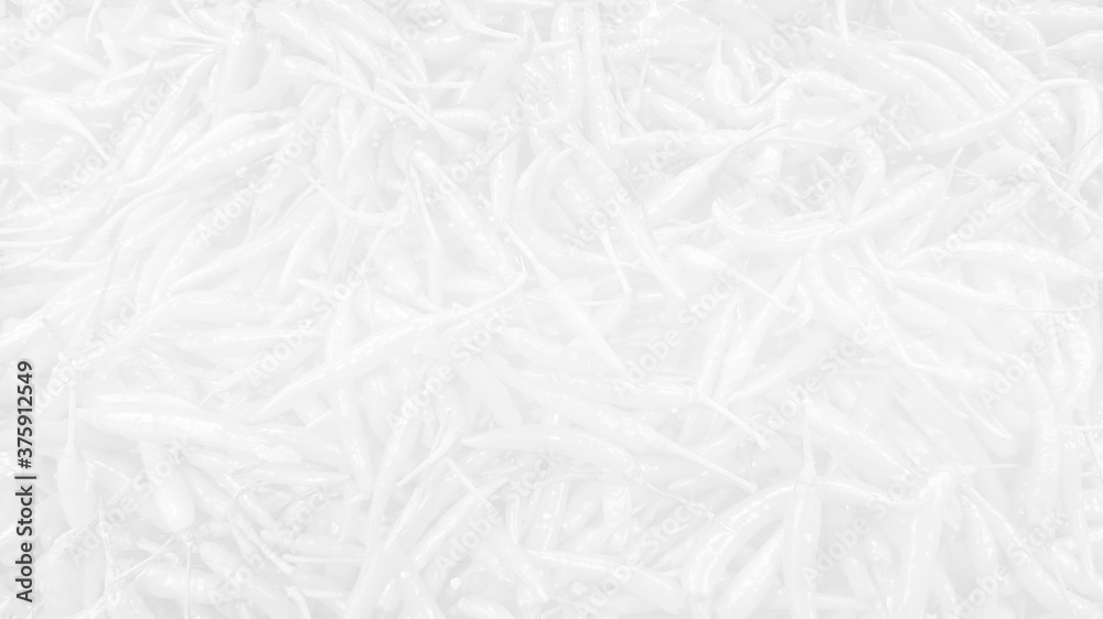 Chilli Background Fresh Organic White. Chilli Background Fresh Organic White.