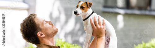 panoramic shot of man raising jack russell terrier dog on hands while standing on street