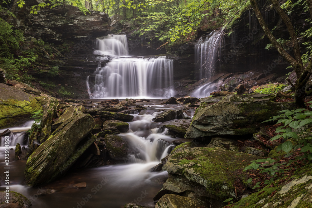 Fototapeta premium Ricketts Glen Again