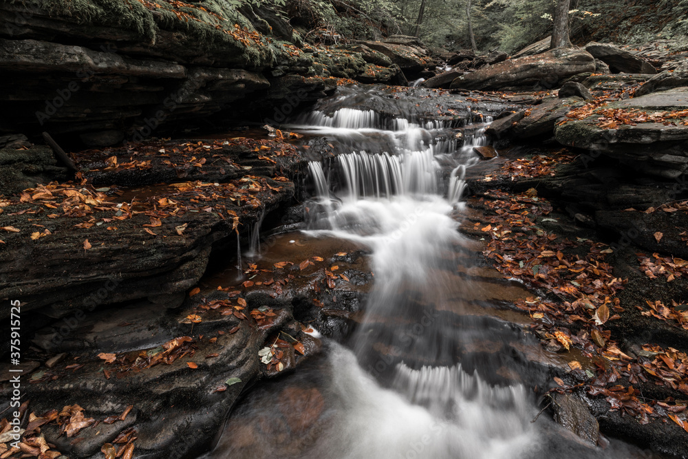 Obraz premium Autumn in the Glen