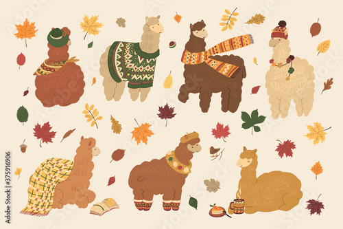 Llama alpaca animals with falling autumn yellow, red, orange leaves and sweater, coffe cup, hat, scarf, plaid hand drawn doodle seamless vector pattern.