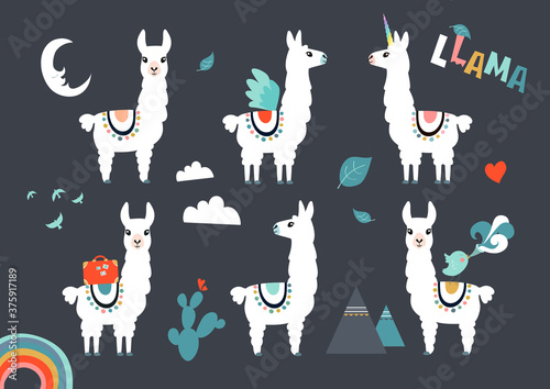 Llama, alpaca collection, cute illustration and design for nursery design, poster, birthday or greeting card. Vector set
