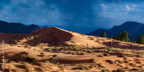 Large sand dune in the Coral Pink Sand Dunes State Park near Kanab, Utah, USA