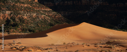 Large sand dune in the Coral Pink Sand Dunes State Park near Kanab  Utah  USA