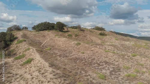 High sandy hill with trees and bushes at the top. Shooting with a quadcopter.
