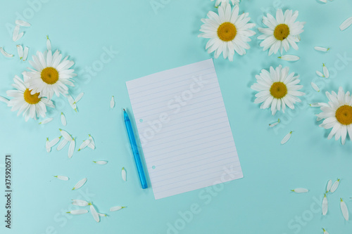 Fototapeta Naklejka Na Ścianę i Meble -  View of a sheet of paper with a pen surrounded by daisies and petals on blue background
