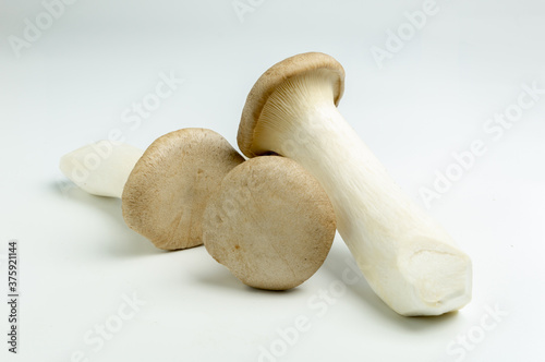 King Oyster mushroom isolated on the white background.