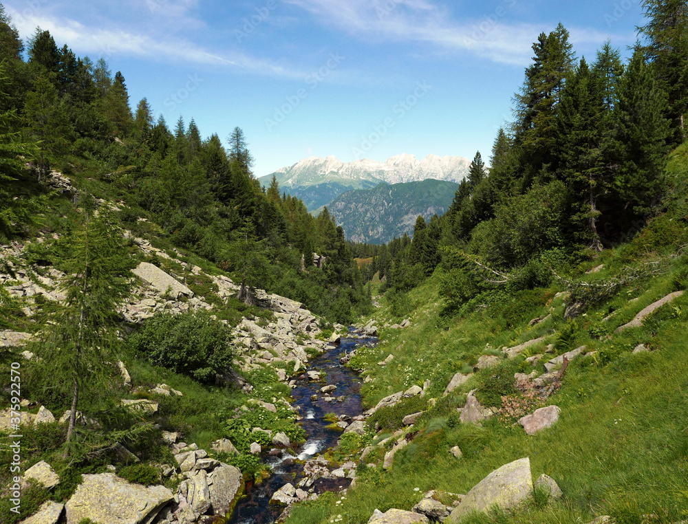 la magnificenza delle Dolomiti tra rocce e verdi vallate, in estate