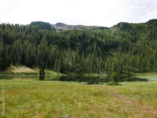 la magnificenza delle Dolomiti tra rocce e verdi vallate, in estate