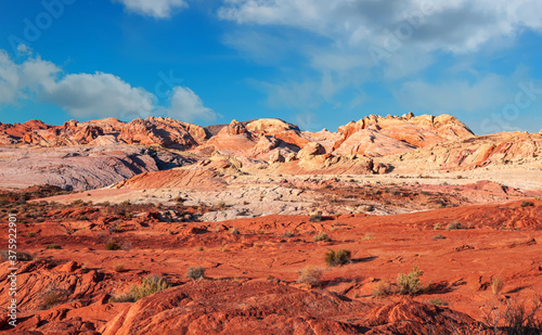 Rock formations in the Nevada desert at Valley of Fire State Park, USA