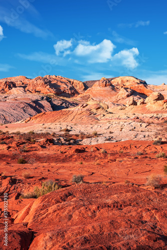 Rock formations in the Nevada desert at Valley of Fire State Park, USA © Travel Stock
