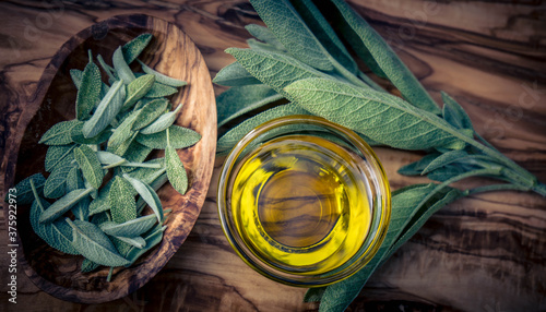 Salbei (Salvia) ist eine Pflanzengattung in der Familie der Lippenblütler (Lamiaceae)