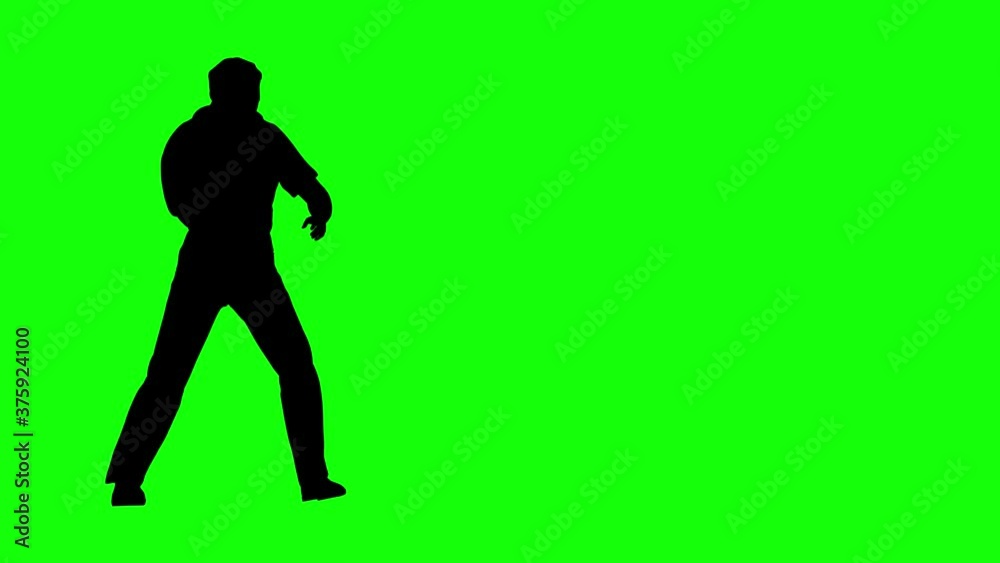 Animation of man silhouette practicing martial arts on green screen Animation of man silhouette practicing martial arts on green screen