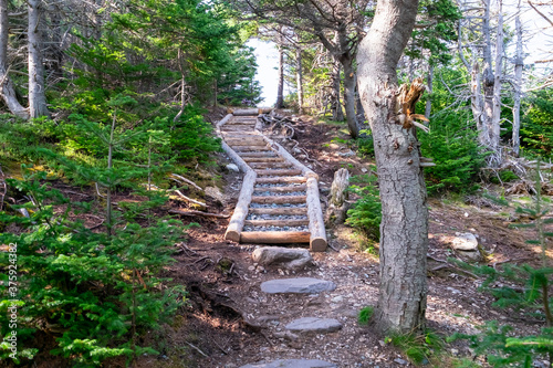 Foto A long wood curved stairway up a hill on a groomed hiking trail