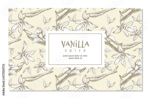 Hand drawing flowers and vanilla sticks. Abstract vector background. Template for  banners, labels, tags, package boxes design.