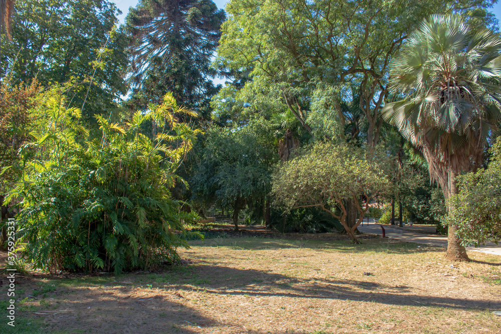 
Tropical botanical garden, Belem, Lisbon, Portugal